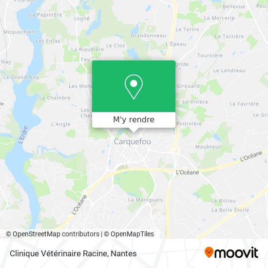 Clinique Vétérinaire Racine plan
