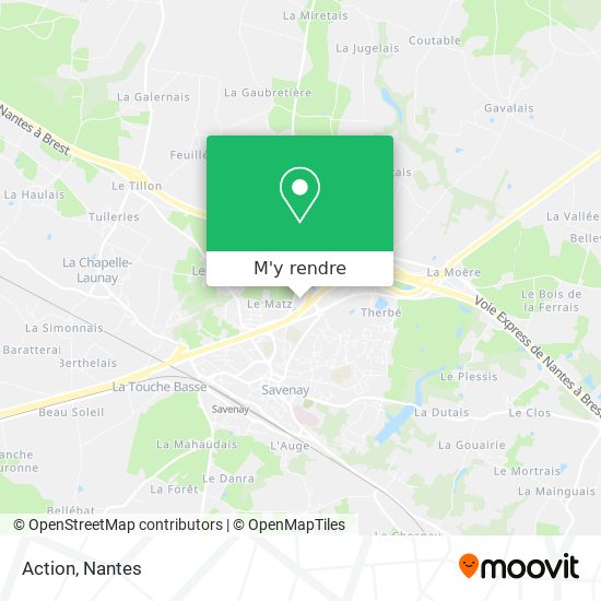 Action plan