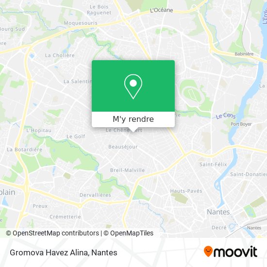 Gromova Havez Alina plan