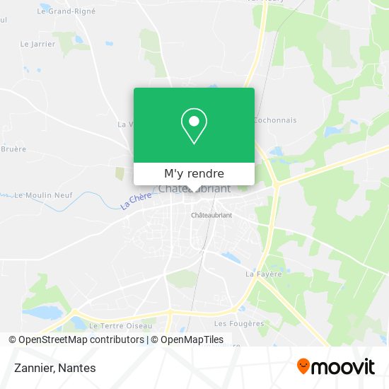 Zannier plan