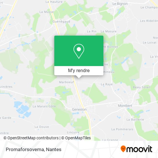 Promaforsovema plan