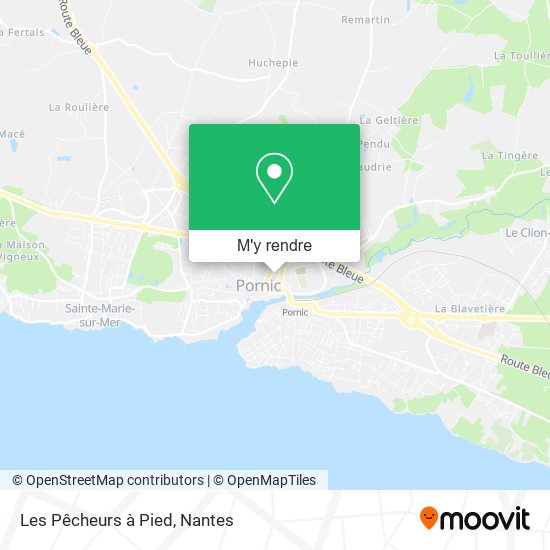 Les Pêcheurs à Pied plan