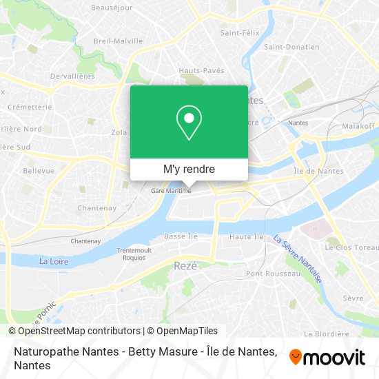 Naturopathe Nantes - Betty Masure - Île de Nantes plan
