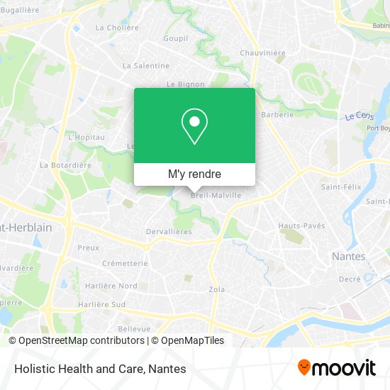 Holistic Health and Care plan