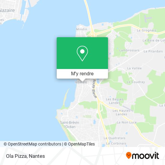 Ola Pizza plan
