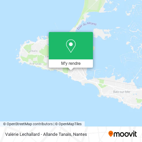 Valérie Lechallard - Allande Tanaïs plan