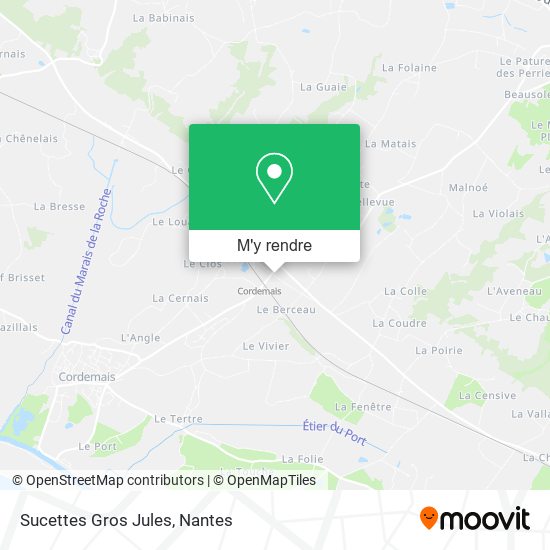 Sucettes Gros Jules plan