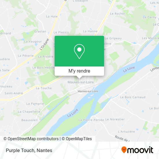 Purple Touch plan