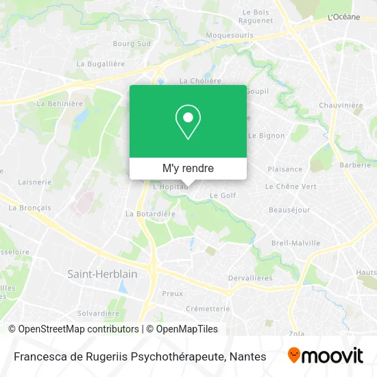 Francesca de Rugeriis Psychothérapeute plan