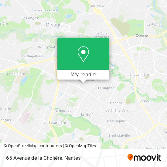 65 Avenue de la Cholière plan