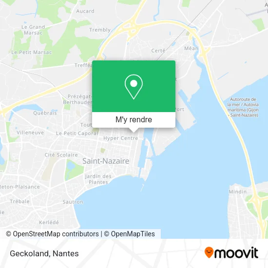 Geckoland plan