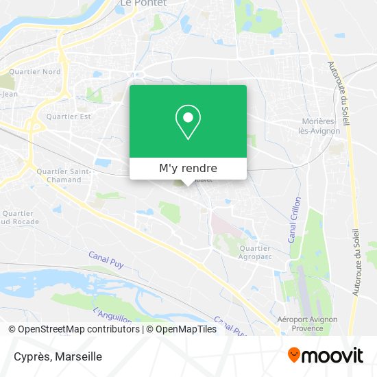Cyprès plan