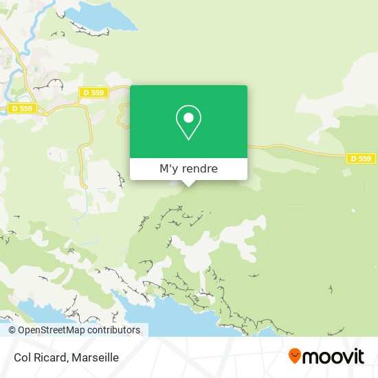 Col Ricard plan