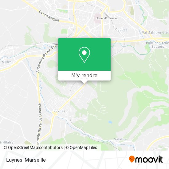 Luynes plan