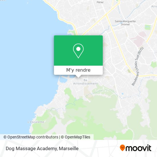Dog Massage Academy plan