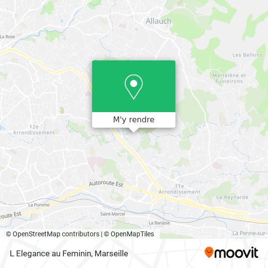 L Elegance au Feminin plan