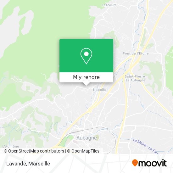 Lavande plan