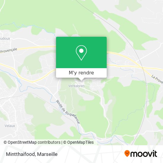 Mintthaifood plan