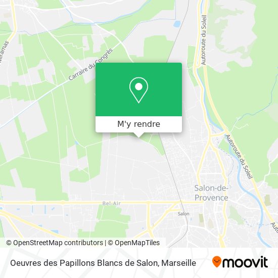 Oeuvres des Papillons Blancs de Salon plan