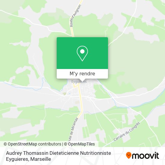 Audrey Thomassin Dieteticienne Nutritionniste Eyguieres plan