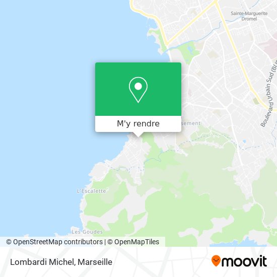Lombardi Michel plan