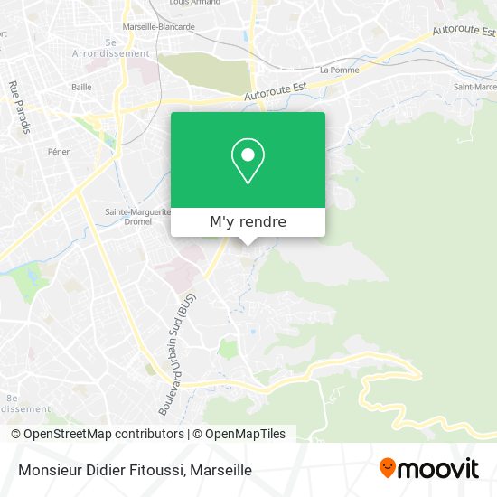 Monsieur Didier Fitoussi plan