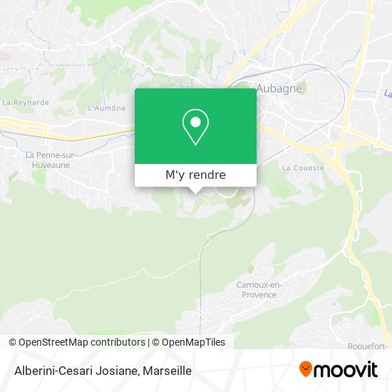 Alberini-Cesari Josiane plan