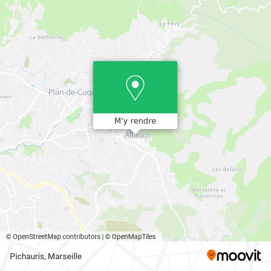 Pichauris plan