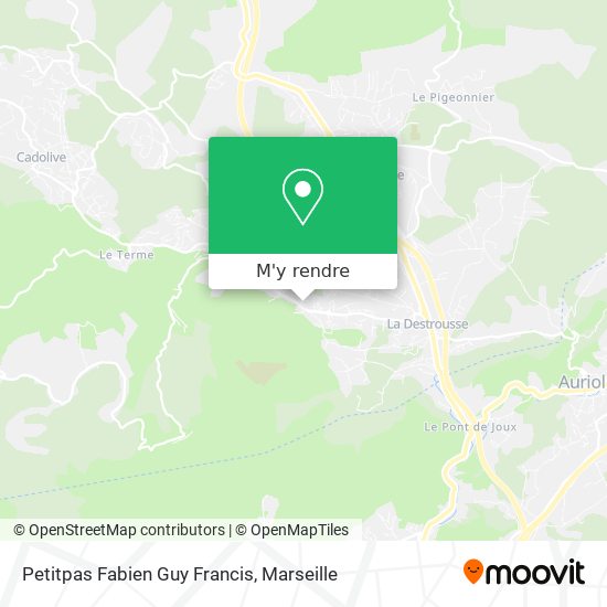 Petitpas Fabien Guy Francis plan