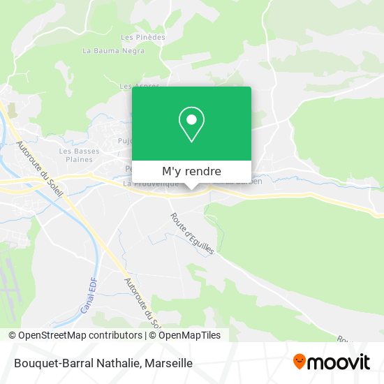 Bouquet-Barral Nathalie plan