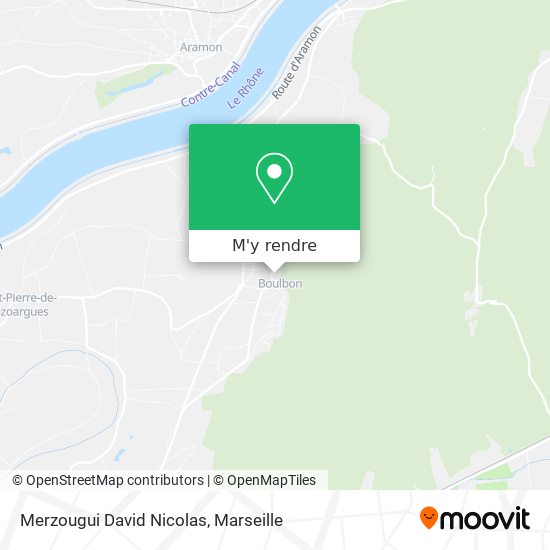 Merzougui David Nicolas plan