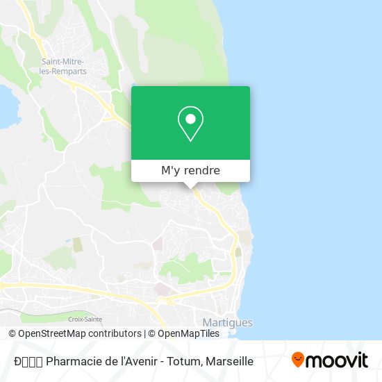 Ðﾟﾒﾊ Pharmacie de l'Avenir - Totum plan