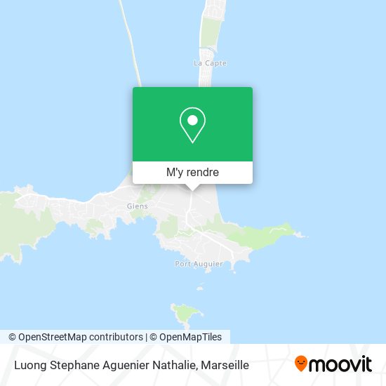 Luong Stephane Aguenier Nathalie plan