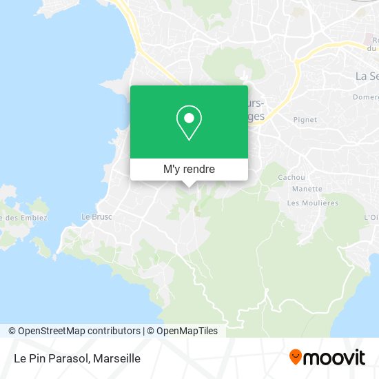 Le Pin Parasol plan