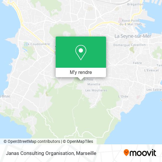 Janas Consulting Organisation plan