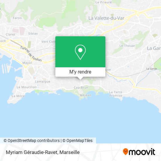 Myriam Géraudie-Ravet plan