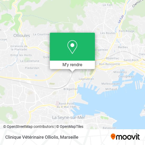 Clinique Vétérinaire Olliolis plan