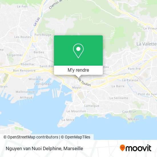 Nguyen van Nuoi Delphine plan