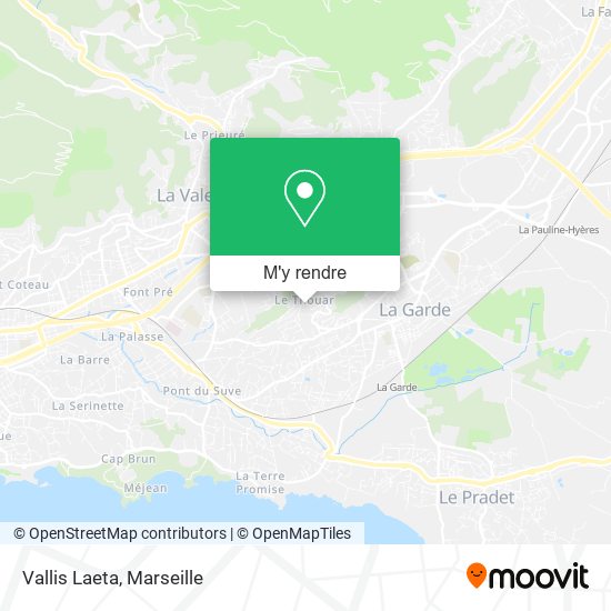 Vallis Laeta plan