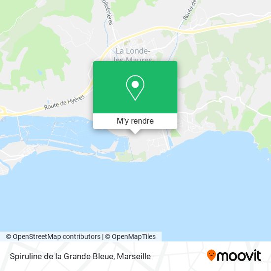 Spiruline de la Grande Bleue plan