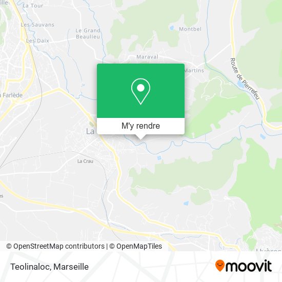 Teolinaloc plan