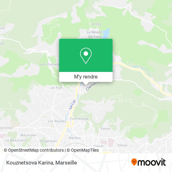 Kouznetsova Karina plan