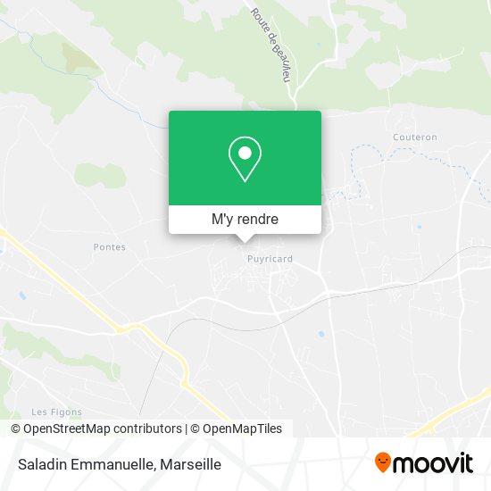 Saladin Emmanuelle plan