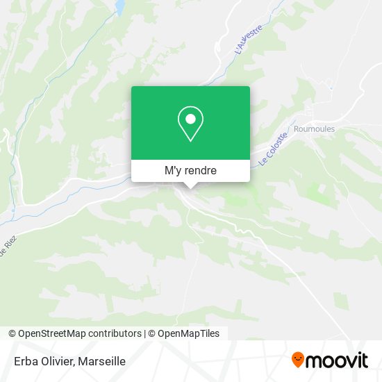 Erba Olivier plan