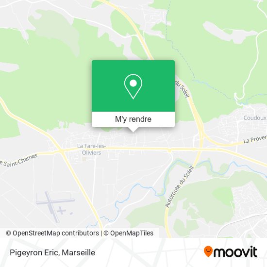 Pigeyron Eric plan