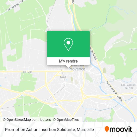 Promotion Action Insertion Solidarité plan