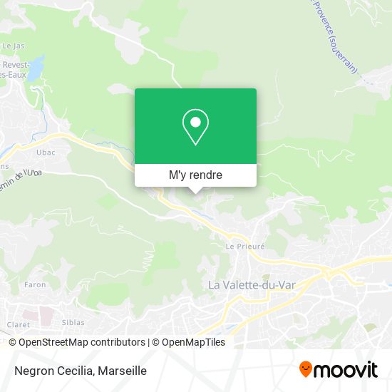 Negron Cecilia plan