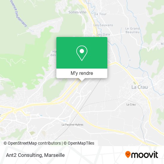 Ant2 Consulting plan