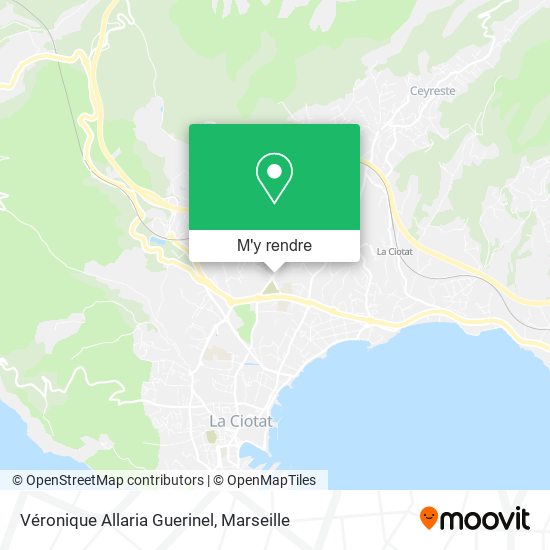 Véronique Allaria Guerinel plan