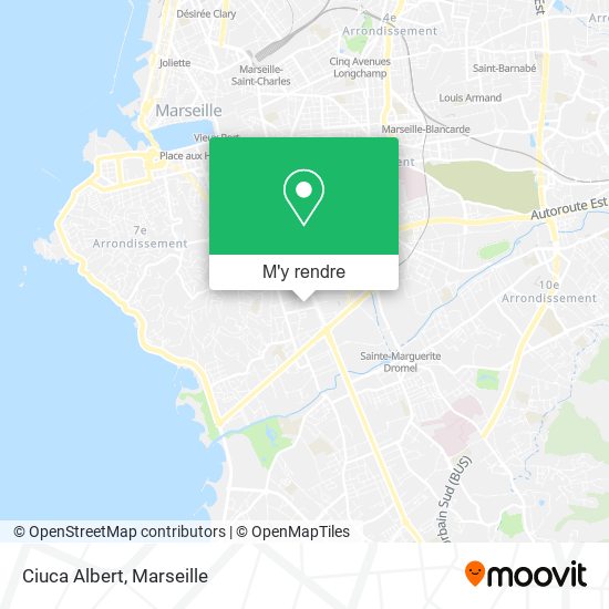 Ciuca Albert plan